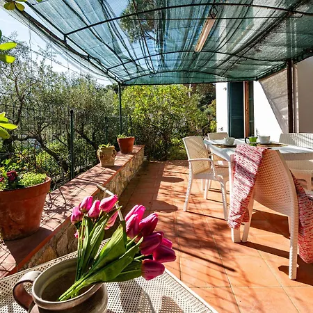 Apartman Paola *